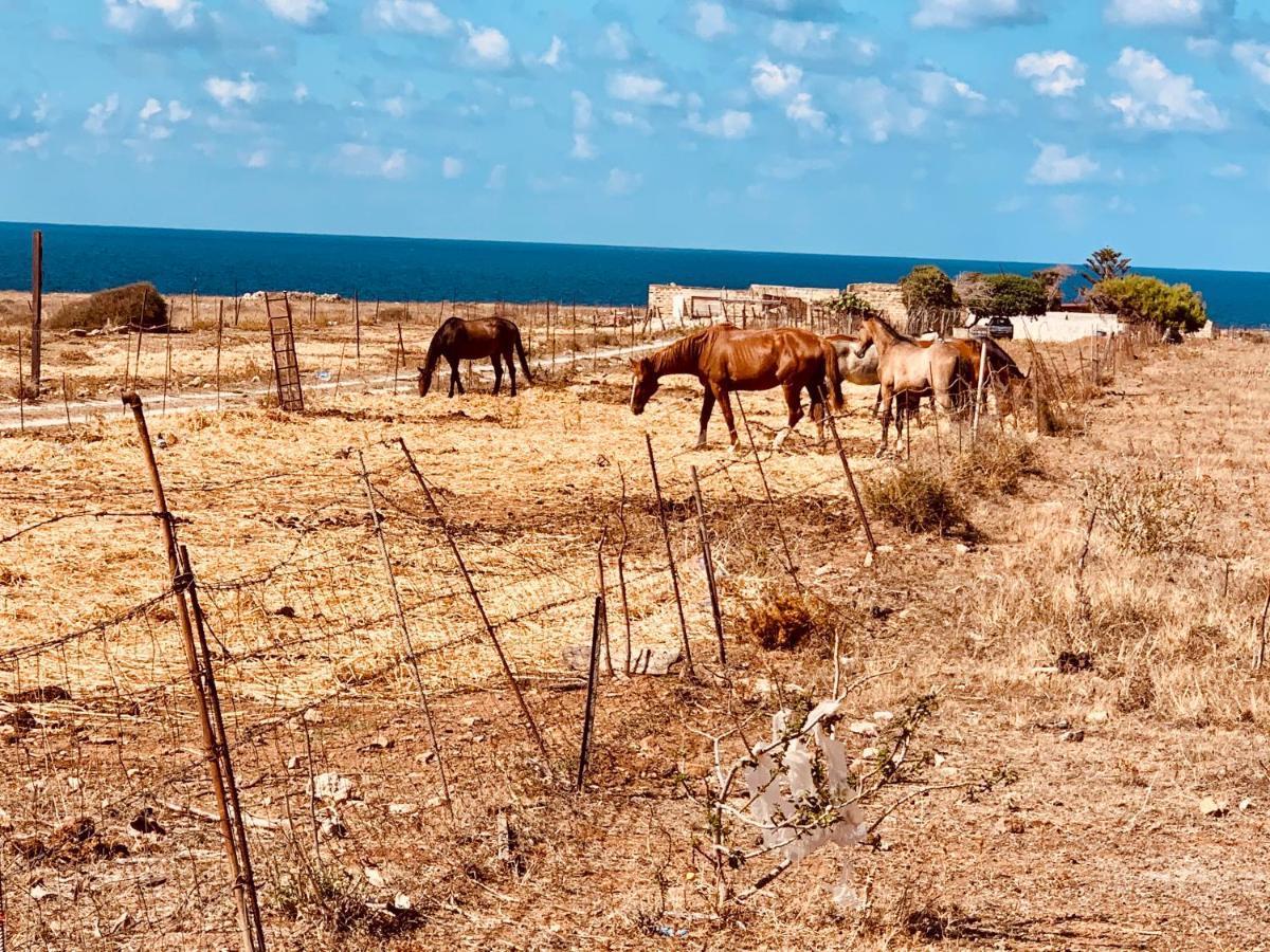 Appartamento Il Pomodoro San Vito Lo Capo Dış mekan fotoğraf